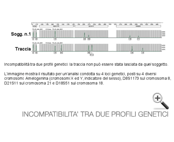 Incompatibilità tra due profili genetici