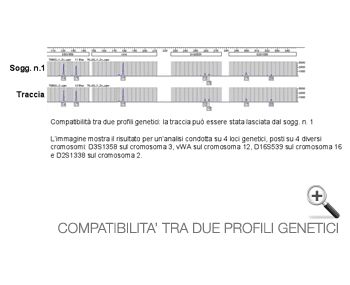 Compatibilità tra due profili genetici